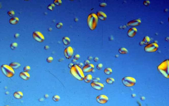 Mirar, veure i interpretar